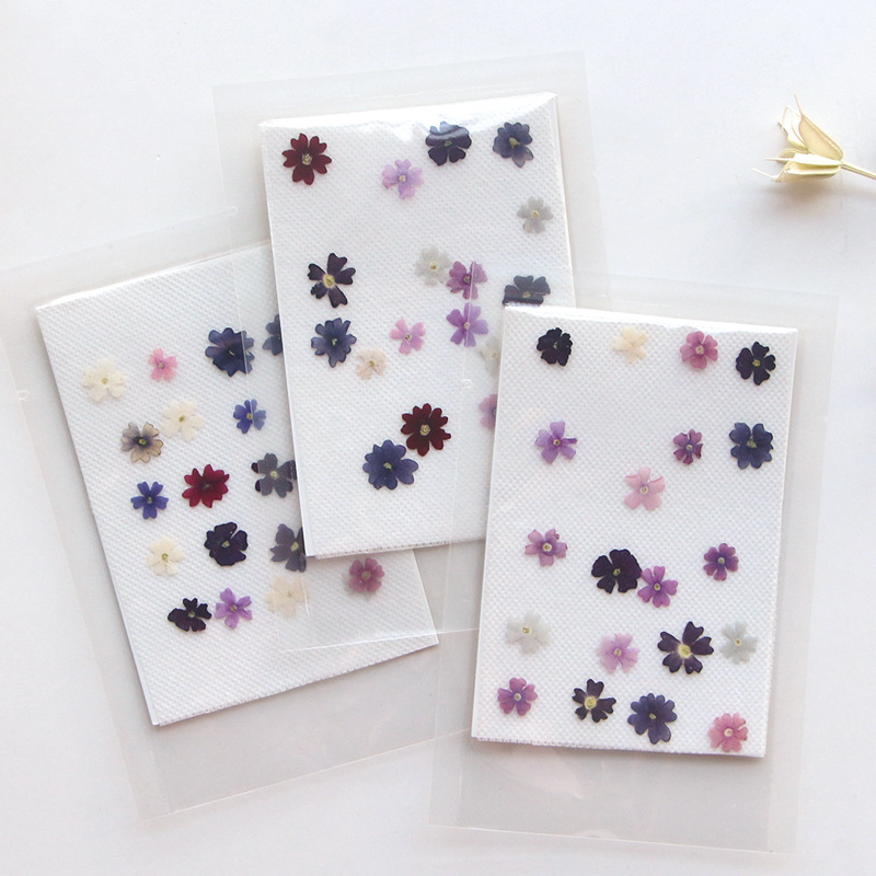 Pressed Flower Frame - 40 adet/grup, Mini güzellik kiraz preslenmiş