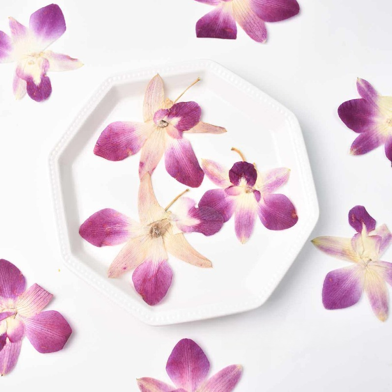 Pressed Flower Frame - 4 adet, Gerçek Preslenmiş Kelebek Orkide