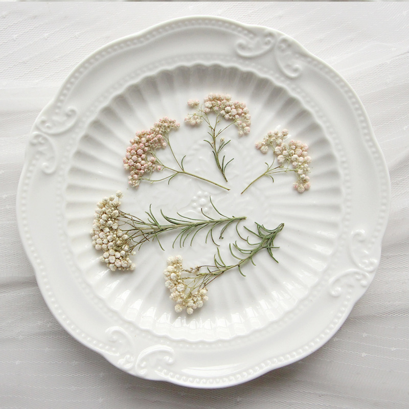 Pressed Flower Frame - 12 adet, Doğa Darı Çiçek Dalları,