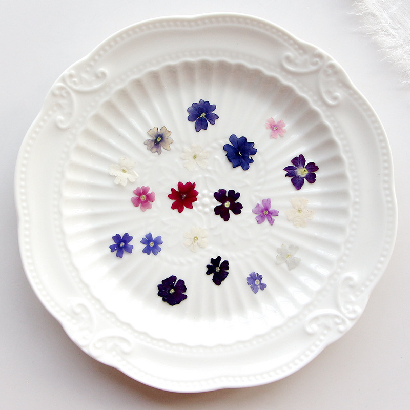 40 adet/grup, Mini güzellik ki - Pressed Flower Frame incelemesi ve fiyatı