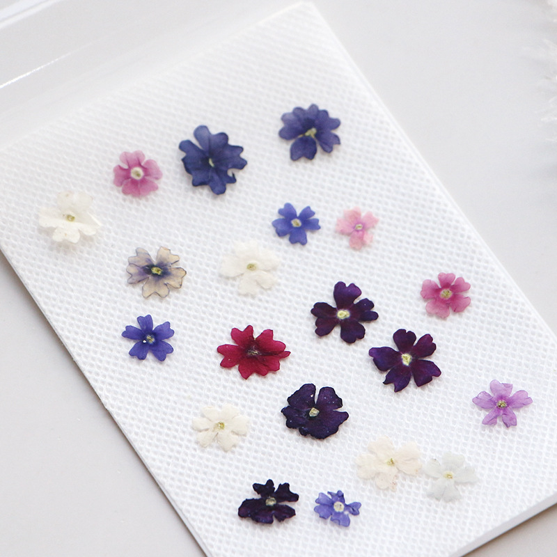 40 adet/grup, Mini güzellik ki - Pressed Flower Frame incelemesi ve fiyatı