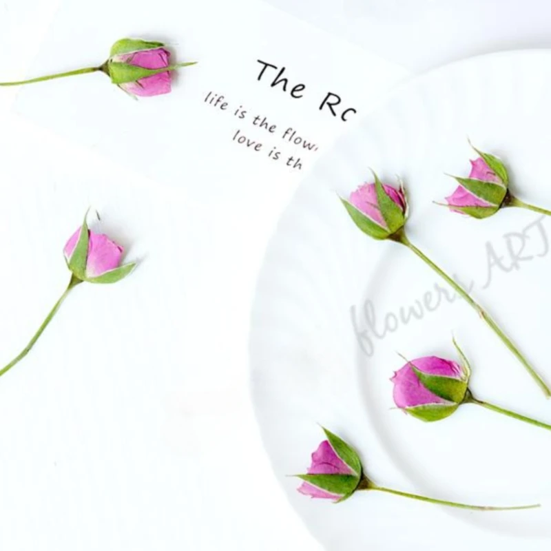 Preslenmiş Gül Tomurcuğu Çiçek - Pressed Flower Frame incelemesi ve fiyatı