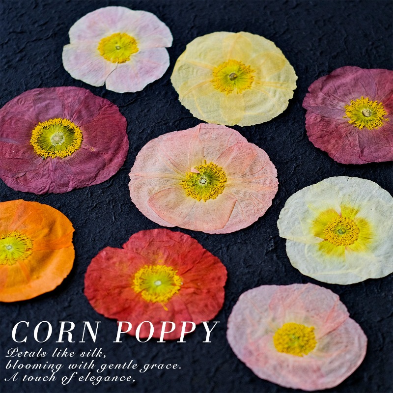 1 adet, Doğa Alanı Haşhaş Pres - Pressed Flower Frame incelemesi ve fiyatı