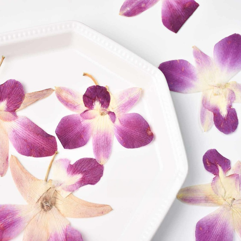 4 adet, Gerçek Preslenmiş Kele - Pressed Flower Frame incelemesi ve fiyatı