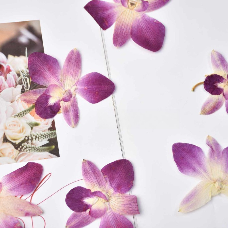 4 adet, Gerçek Preslenmiş Kele - Pressed Flower Frame incelemesi ve fiyatı