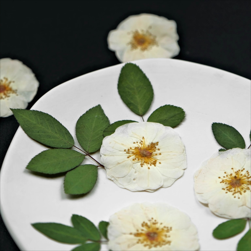 6 adet, 9 adet, Doğal Beyaz Gü - Pressed Flower Frame incelemesi ve fiyatı