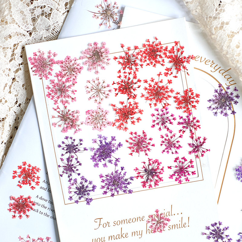 24 adet, 2-2.5cm, Doğal Boyalı - Pressed Flower Frame incelemesi ve fiyatı