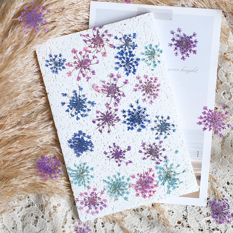 24 adet, 2-2.5cm, Doğal Boyalı - Pressed Flower Frame incelemesi ve fiyatı